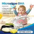 GMP Standard Docosahexaenoic AICD DHA Algae Oil Powder